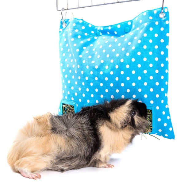 Hurmaava Hein&auml;riippu