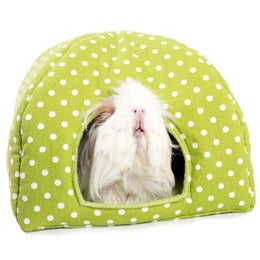 Hurmaava Unimaja lis&auml;alustoilla