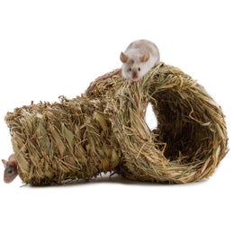 Tommi hein&auml;tunneli sivuhaaralla