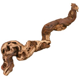 Trixie viinik&ouml;ynn&ouml;s 30-40 cm