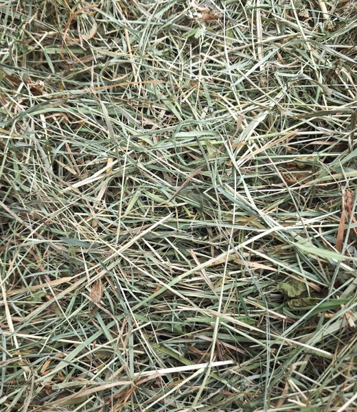 Hein&auml;&auml; pientilalta