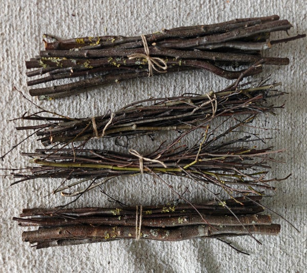 Tierran tuoreet oksaniput