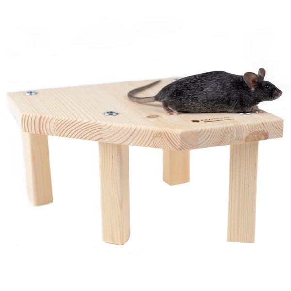 20 cm taso ja 10 cm jalat