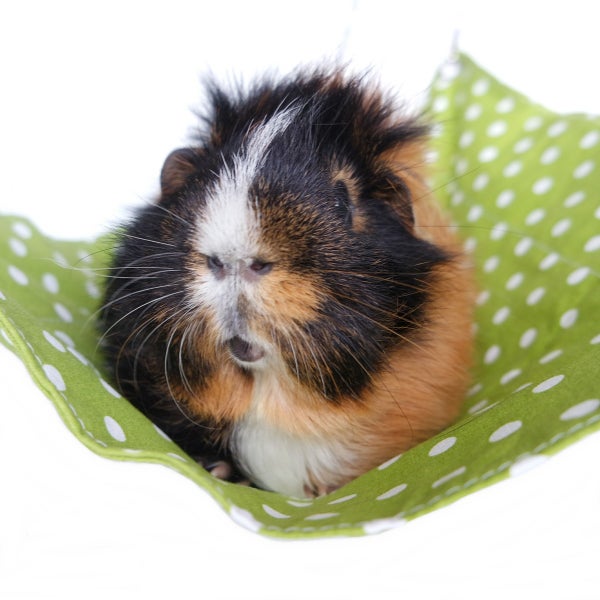 Hurmaava Uniriippu puuvillasta