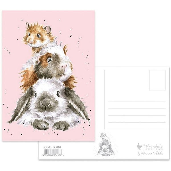 Kani, marsu ja hamsteri