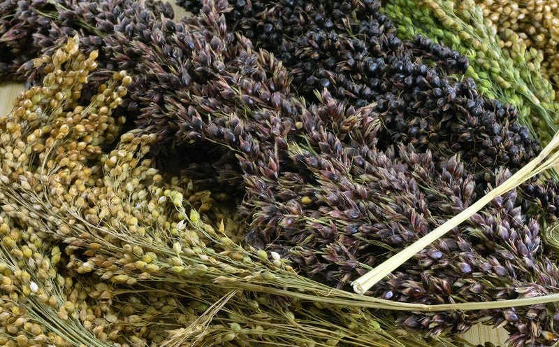 Getzoo hirssisekoitus 100 g