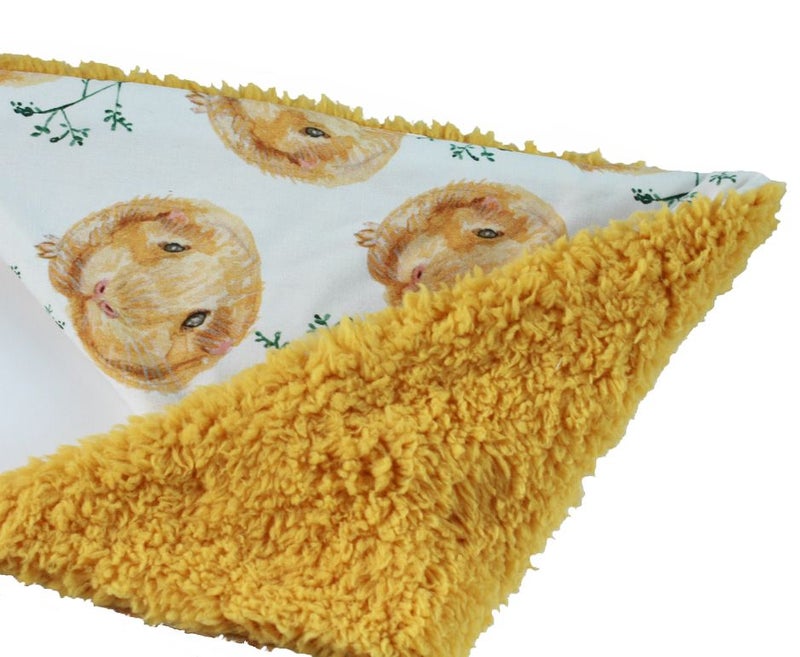 Maailman kolmioriippari marsuille