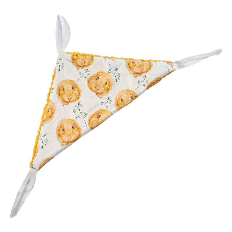 Maailman kolmioriippari