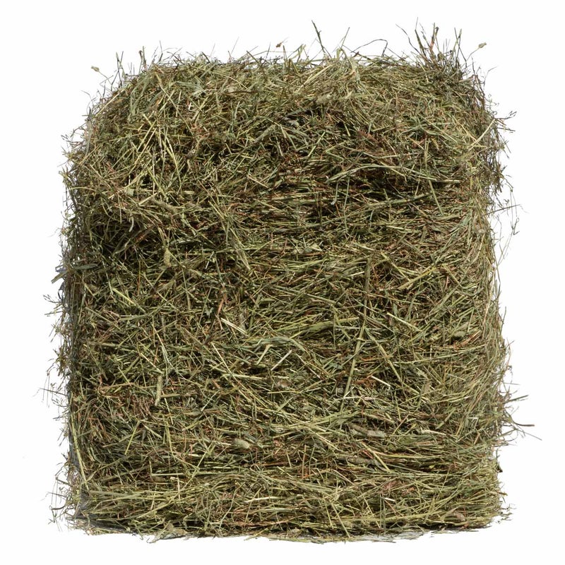 Hein&auml;tukku timoteihein&auml;