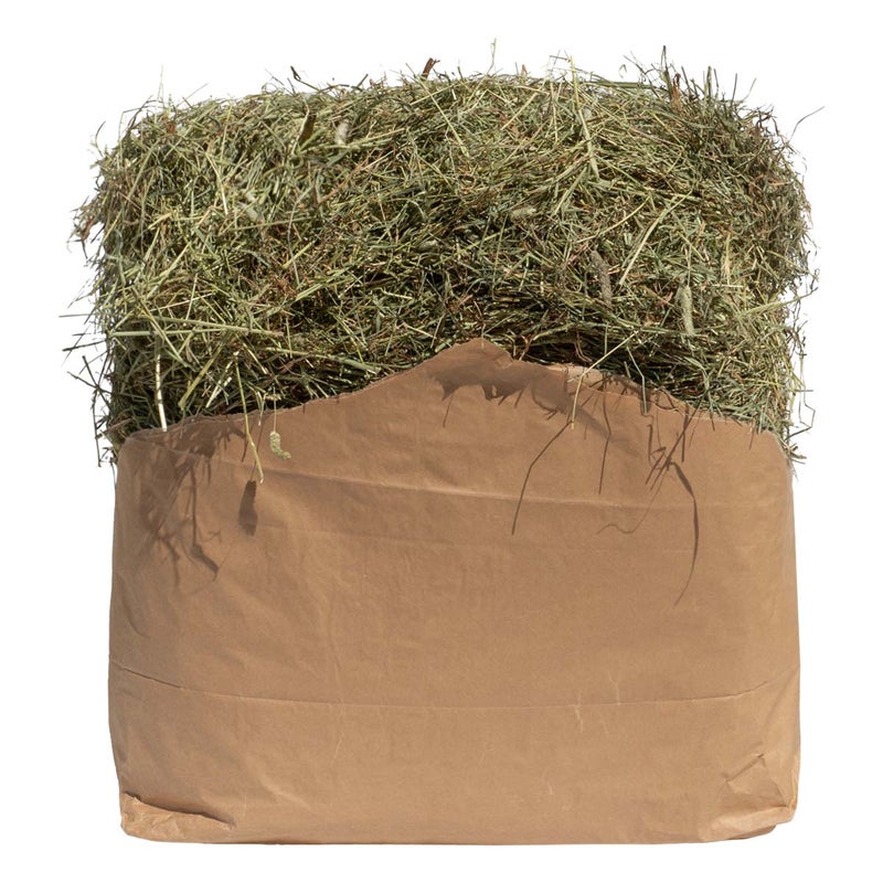 Timoteihein&auml;&auml; paalissa