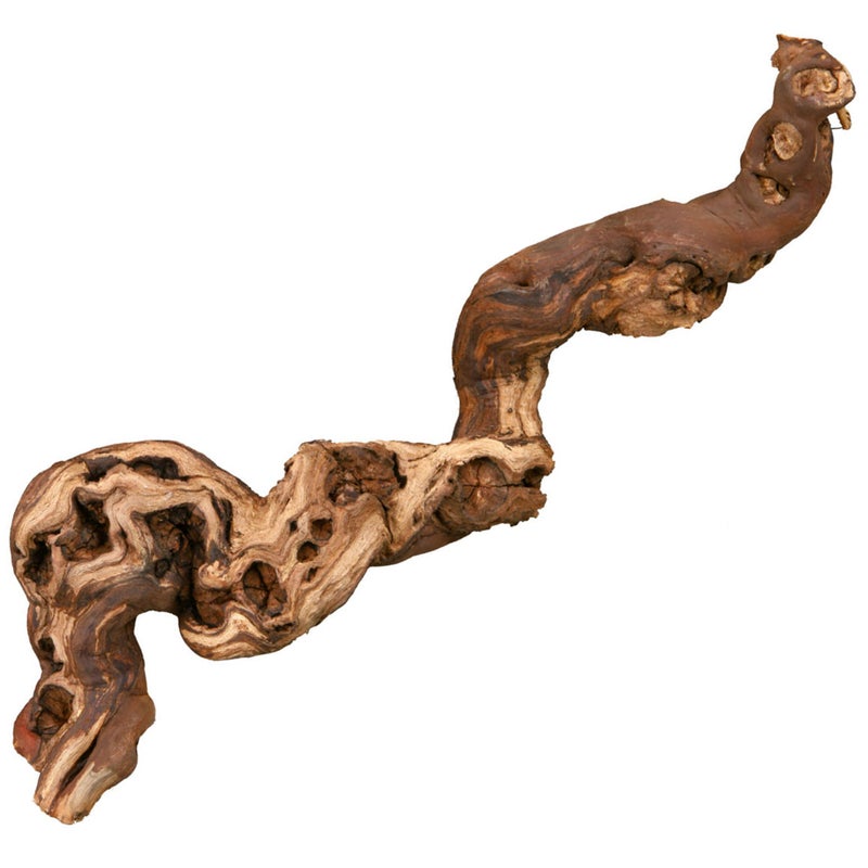 Trixie viinik&ouml;ynn&ouml;s