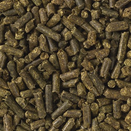 Tropifit alfalfapelletti 600 g