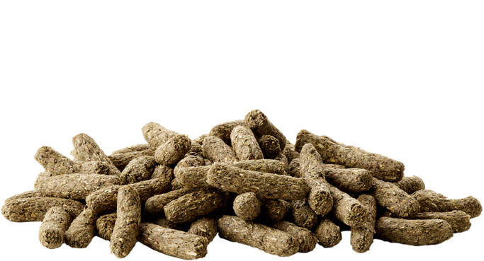 Versele-Laga Sensitive Complete Adult kanipelletti